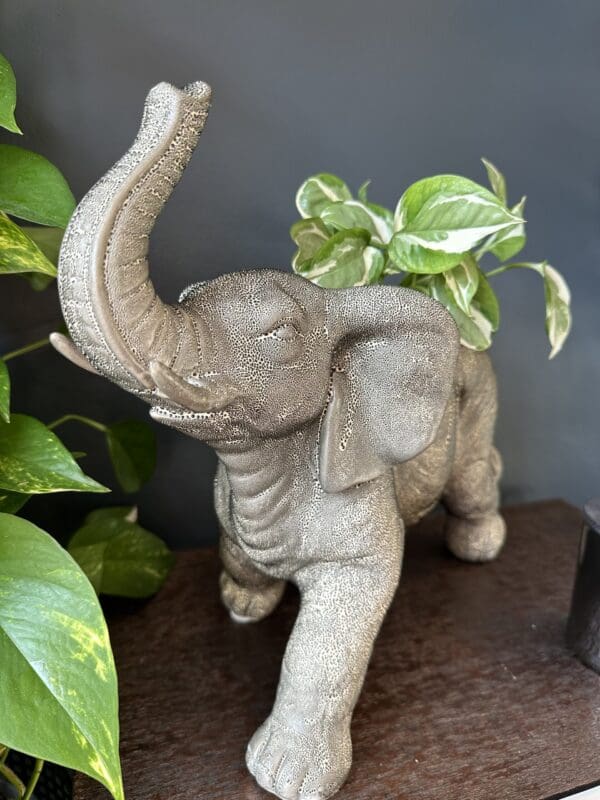 Dekorativ blomsterpotte, elefant i grått