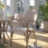 Bistrostol i flettet rotting i natur